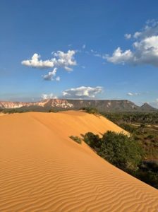 (Fonte: GOVERNO DO ESTADO DO TOCANTINS, 2025).
