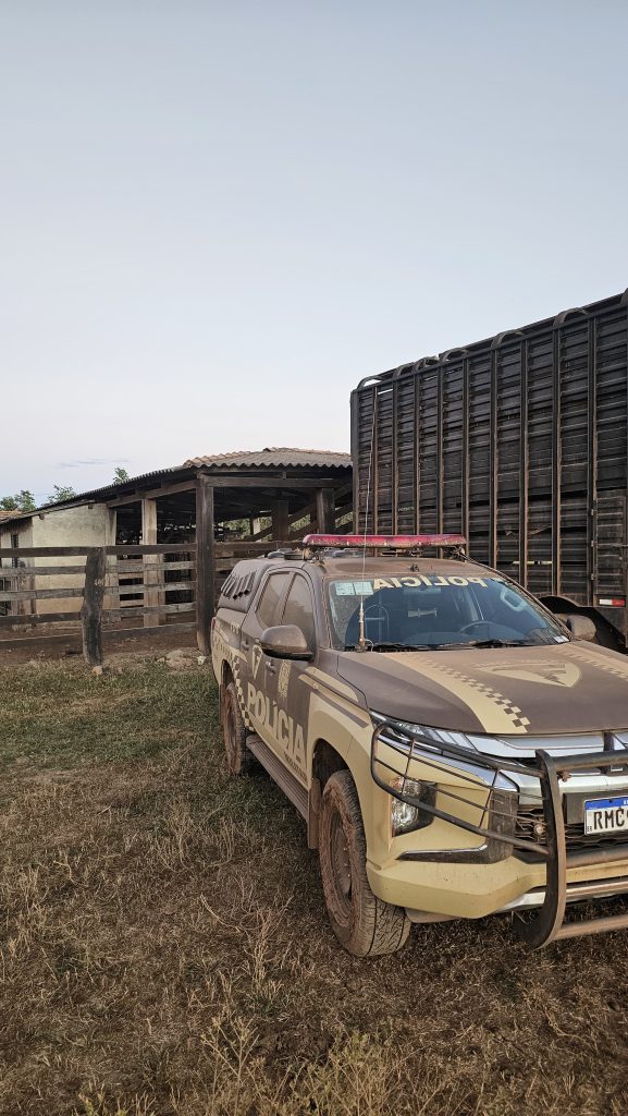 Furto de gado em fazenda de Formoso do Araguaia é frustrado pela Força Tática Furto de gado